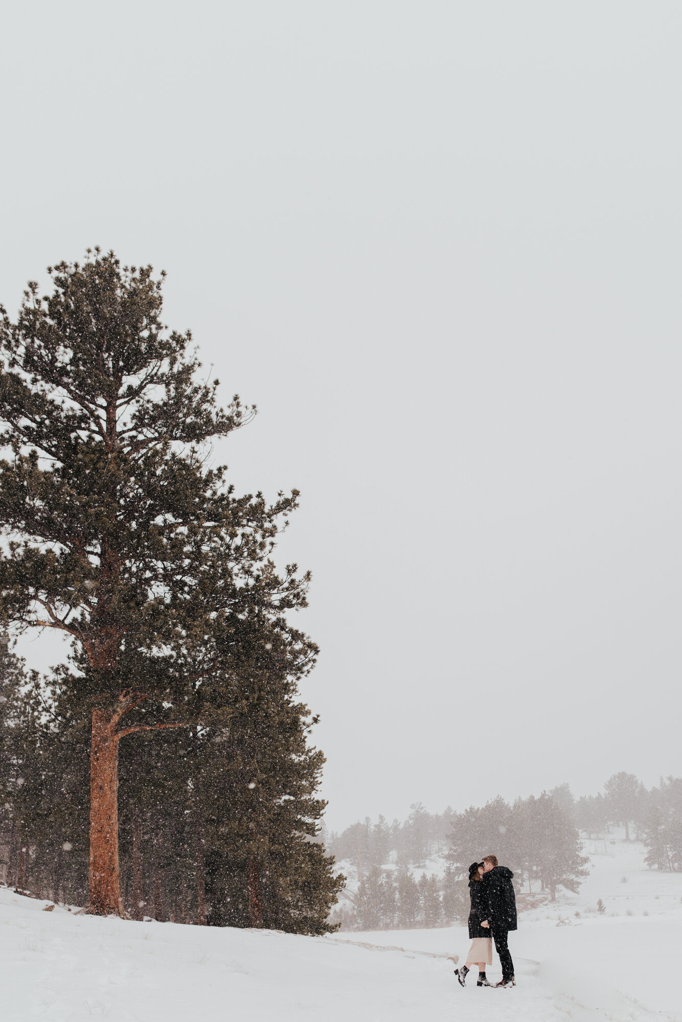 Rocky Mountain Candid Wedding Photographer