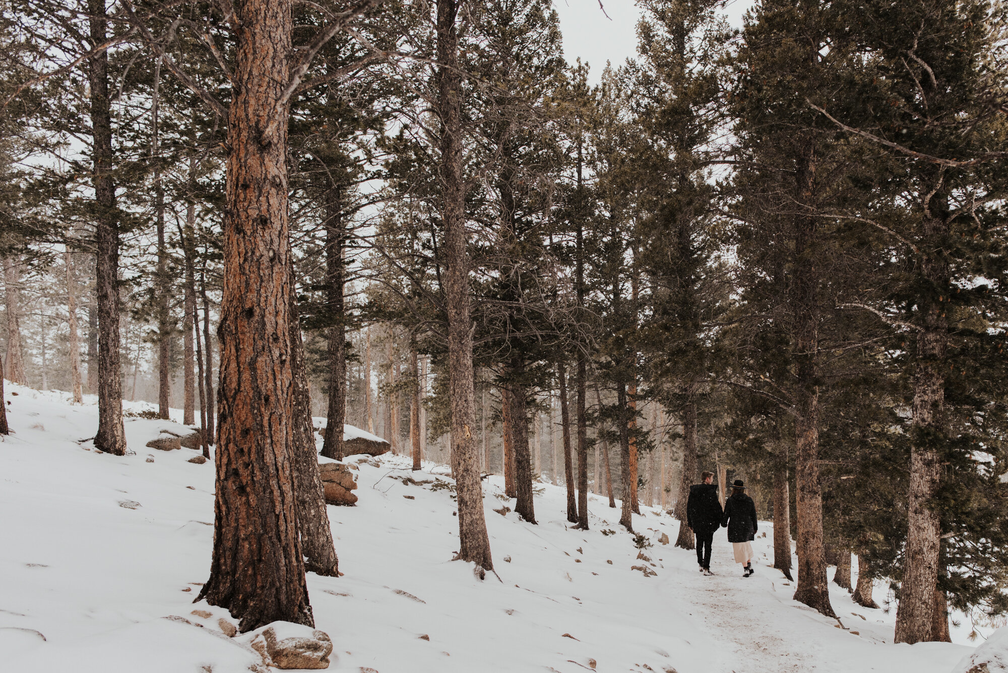 Rocky Mountain Candid Wedding Photographer